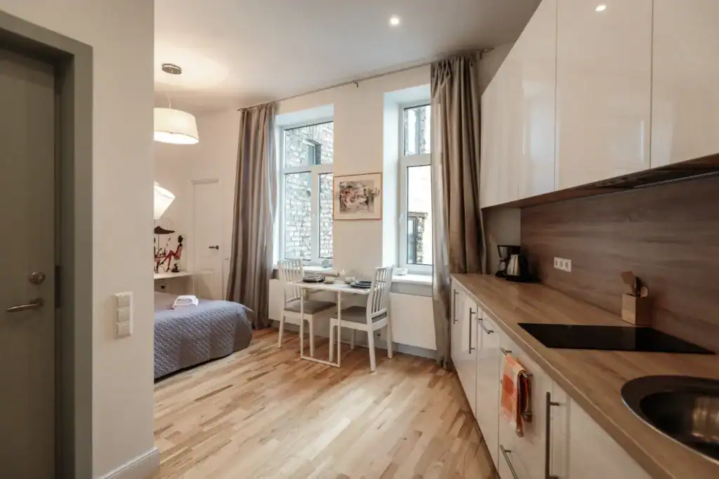 Compact Studio Apartment 3