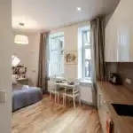 Compact Studio Apartment 4