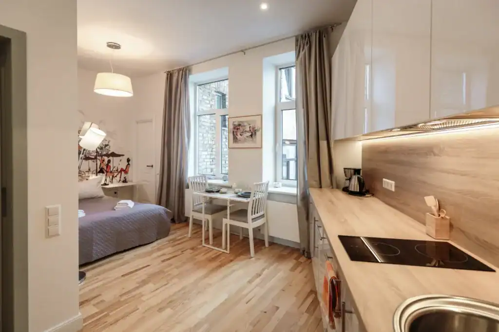 Compact Studio Apartment 5