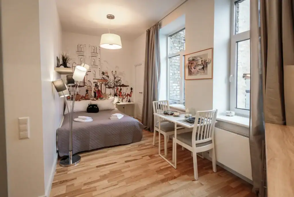Compact Studio Apartment 8