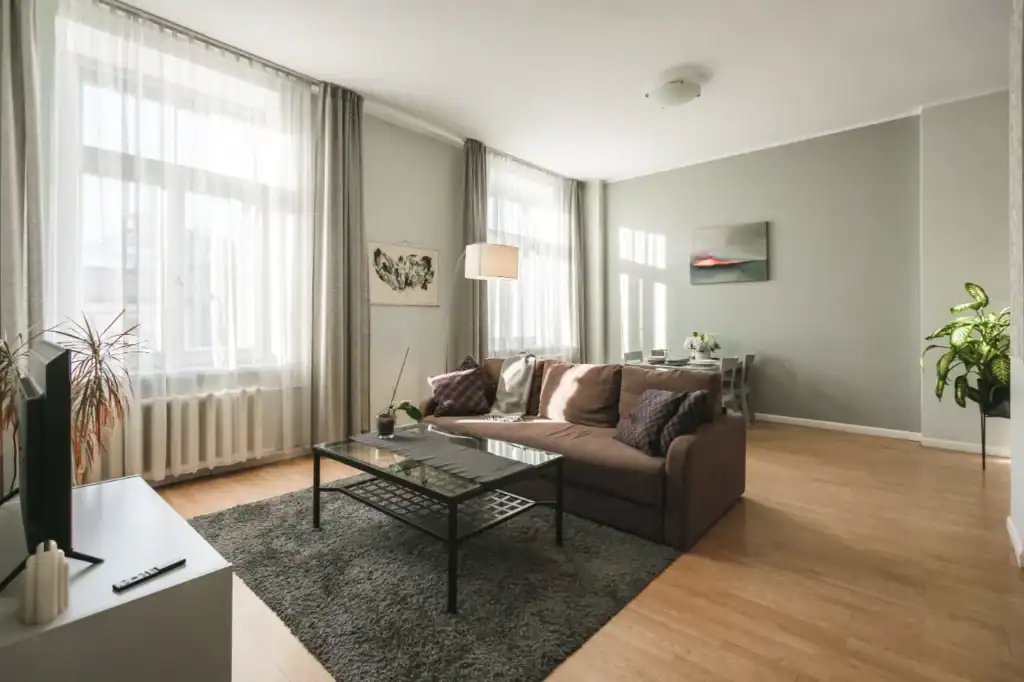 Spacious One Bedroom Apartment in Riga 1