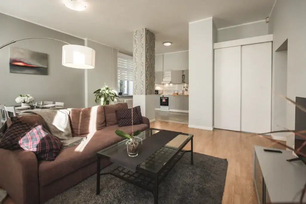 Spacious One Bedroom Apartment in Riga 4