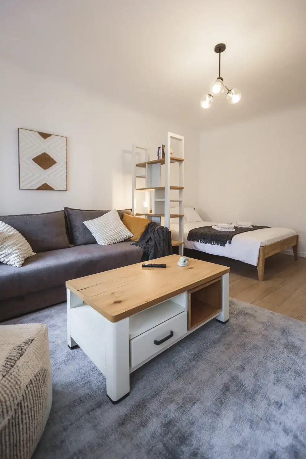 Studio Apartment with Skylight 21
